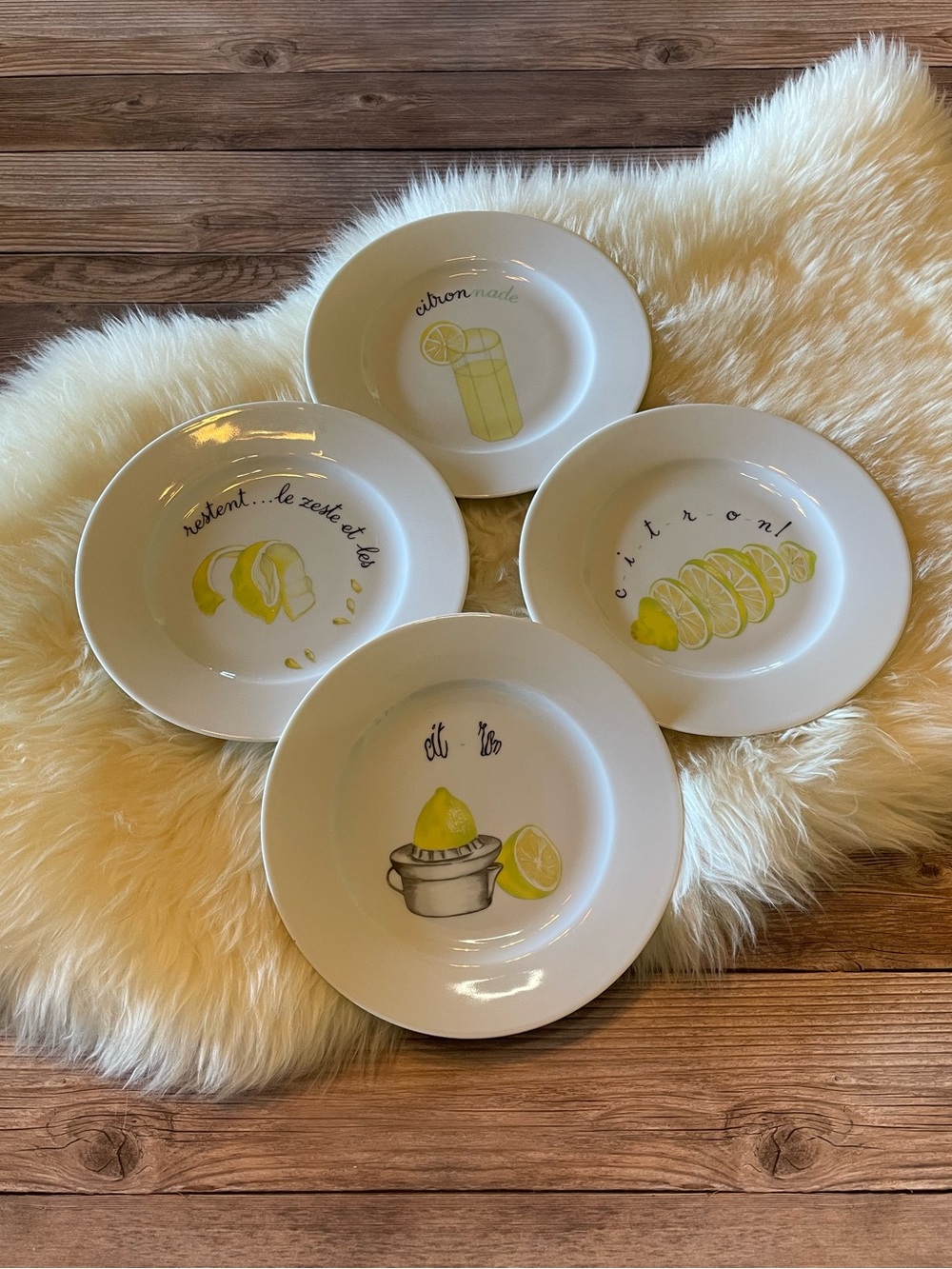 Vintage Limoges Citrons Collection ~ Set of 4